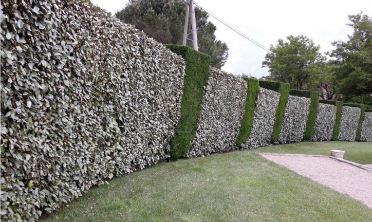 faire appelle à un paysagiste pour l'entretien et la tonte de ses espaces verts